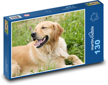 Zlatý retriever Puzzle 130 dielikov - 28,7 x 20 cm