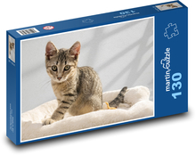 Evropská krátkosrstá kočka Puzzle 130 dílků - 28,7 x 20 cm