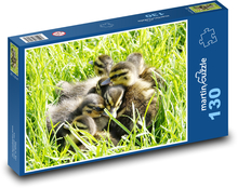 Kurčatá vodného vtáctva Puzzle 130 dielikov - 28,7 x 20 cm 