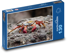 Bunte Krabbe auf vulkanischen Steinen Puzzle 130 Teile - 28,7x20 cm